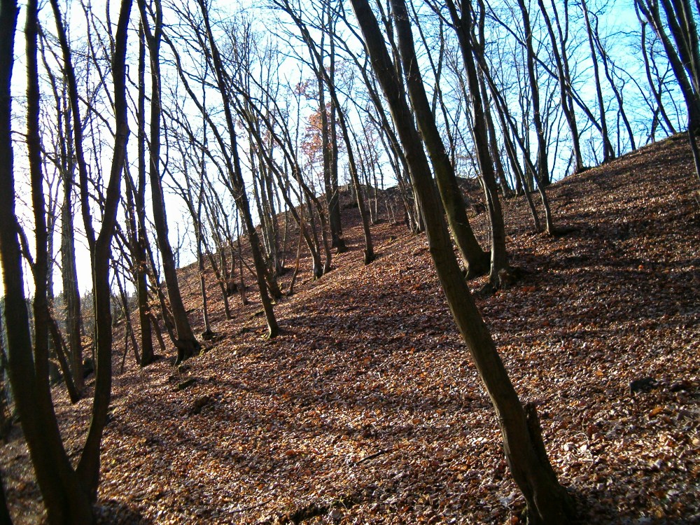 st-edo-esk-kraj-5-str-nka-nau-n-stezky-cz